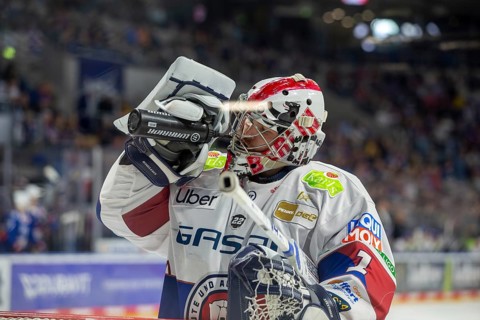 DEL, German Ice Hockey League season 2024/25, 52nd matchday: Adler Mannheim vs Eisbären