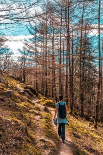 A very happy young woman walking in the pines on Mount Adarra in Guipuzcoa. Basque Country