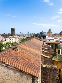 View of the old town and the El Raval neighbourhood in Barcelona, Spain