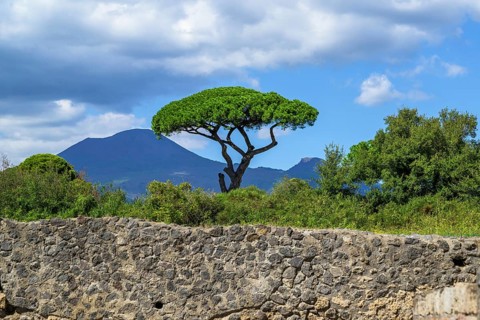 Pompeii, Campania, Naples, Italy