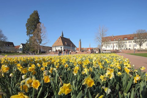 Town house and flower bed, Easter bells, spring, ornamental garden, market square, Freudenstadt,