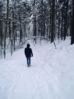 A person walking along a snowy path in a dense winter forest. Rear view of a man in a hooded jacket