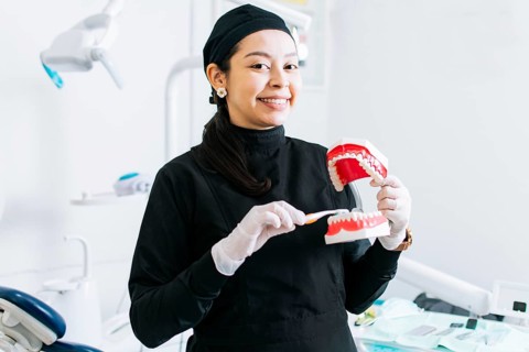 Smiling female dentist showing a denture, Dentist explaining tooth brushing, female dentist showing