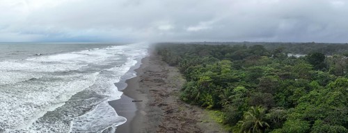 Aerial view, beach and sea, coast with rainforest, Tortuguero National Park, Costa Rica