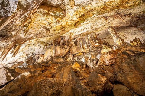 Breathtaking view of illuminated stalactites and stalagmites formations inside postojna cave, a