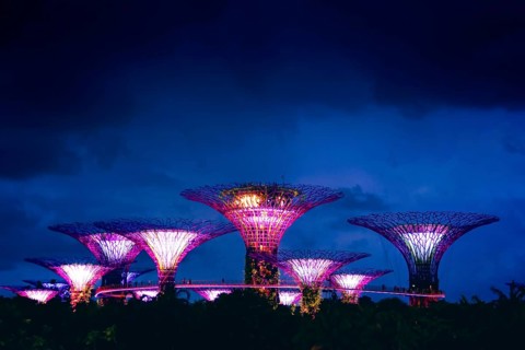 Singapore city, Singapore - april 15th, 2024: aerial view Super tree park at Marina Bay Sand.