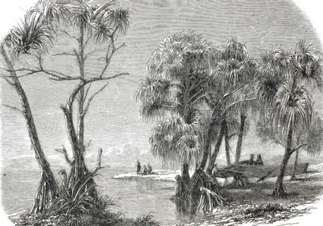A landscape on the island of Tahiti in French Polynesia, circa 1860. In the foreground and centre,