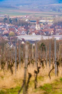View of a village with a church through the vines of a vineyard under a cloudy sky, Großbottwar,