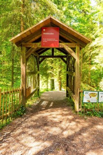 Wooden gate marks the entrance to a forest path in sunlight, Waldwelt Skywalk Allgäu, Scheidegg,