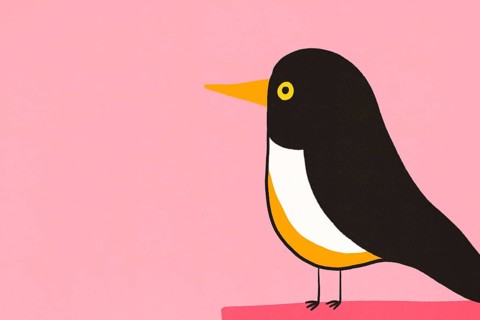 A minimalist illustration of a bird with black, white, and orange colors against a pastel pink