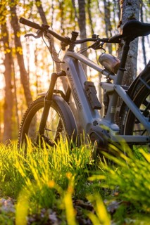 An e-bike leaning against a tree in the forest, illuminated by golden sunlight, e-bike, Gechingen,