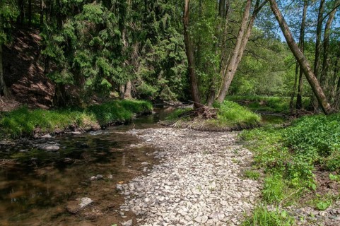 Aumatal, Germany, Greiz, Thuringia, flowing water, river, landscape, nature reserve, nature