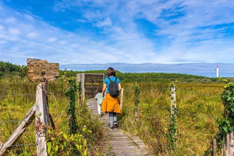 Mother and child walk along a wooden boardwalk through tall grasses toward a nature observation