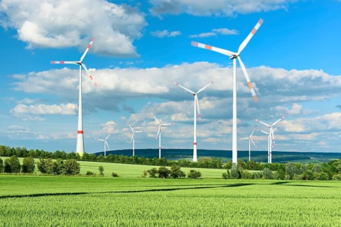 Green wheat field and wind turbines under a blue sky with cumulus clouds, in the background the