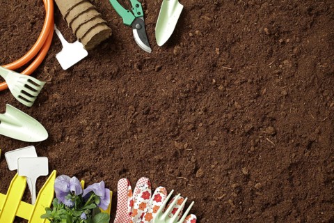Various gardening tools, gloves, and a flowers are arranged on rich soil, ready for spring planting