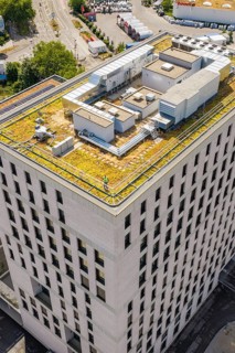 Roof of a modern high-rise building with green infrastructure and urban environment, Boarding House