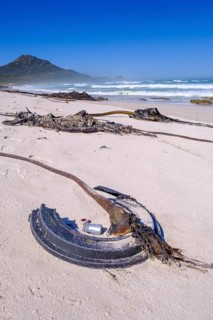 Litter and washed up kelp on the beach, marine litter, Platboom Beach, Cape Point, Cape of Good