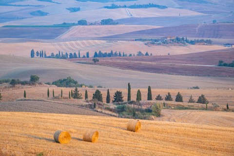 Typical Tuscan landscape in Val d'Orcia with hills, trees, fields, cypresses and farm road in
