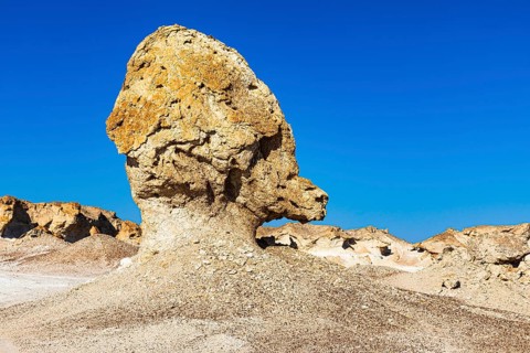 Striking rock formation in the Huqf stone desert, Arabian Peninsula, Sultanate of Oman