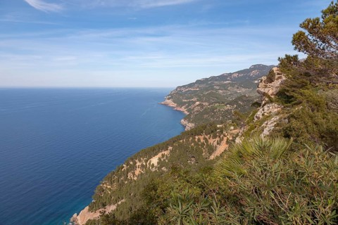 Coastal landscape with views of vast sea and wooded cliffs under blue sky, Majorca, Balearic