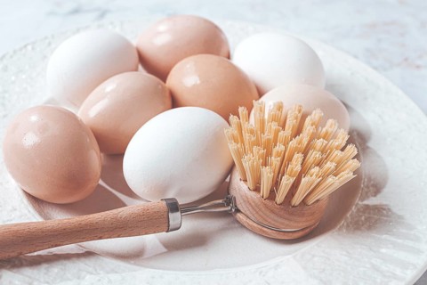 The concept of health care, the fight against salmaniasis, washed chicken eggs, on a white plate,