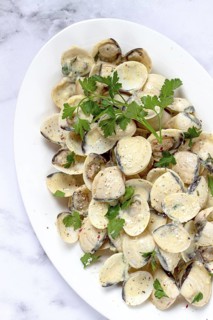 Vongole clams, in cream sauce, on a white plate, homemade, top view, no people