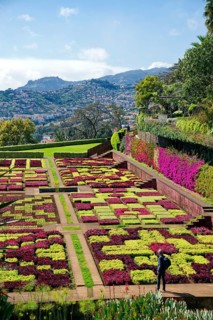 Flowerbeds planted as a pattern, Botanical Garden, Jardim Botanico, Funchal, Madeira, Portugal
