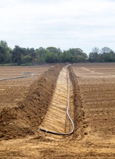 Poly pipe subsurface irrigation system in excavated ditch across sandy field, Shottosham, Suffolk,