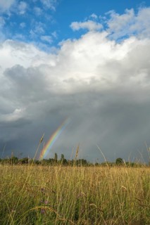 A rainbow appears in the cloudy sky over a field and bears witness to the traces of the recent