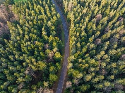 Top view of a winding road, surrounded by dense forest, nature appears peaceful and unspoilt,