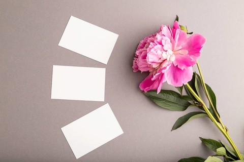 White business card with pink peony flowers on gray pastel background. top view, flat lay, copy