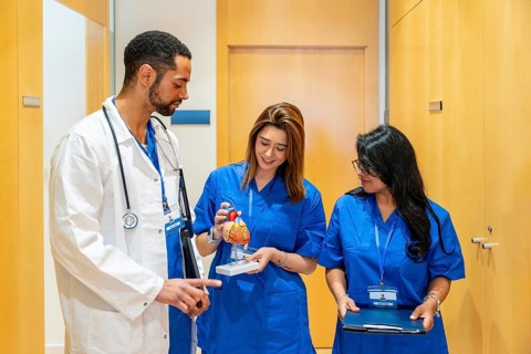 Healthcare team members, including a doctor and two nurses in scrubs, are collaborating while