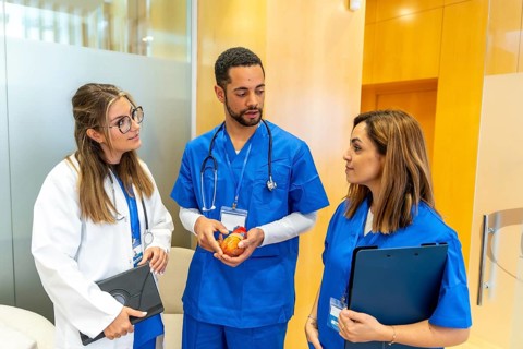 Diverse medical team collaborating and discussing a human heart anatomical model in a modern