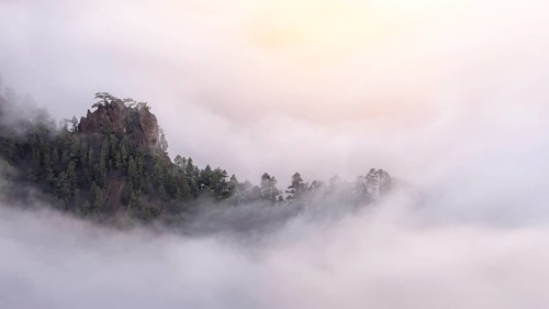 Evening clouds move into the Caldera de Taburiente and form a sea of fog. La Palma, Canary Islands,