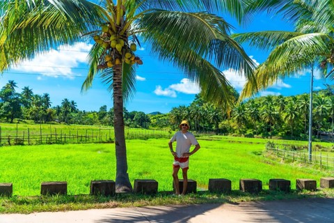 Tourist posing near a coconut tree and enjoying the view of vibrant green rice paddies and tropical