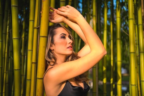 Portrait of a Caucasian girl in a black dress in a bamboo forest