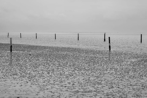 Post in the Wadden Sea National Park, low tide, Norddeich, Norden, East Frisia, Lower Saxony,
