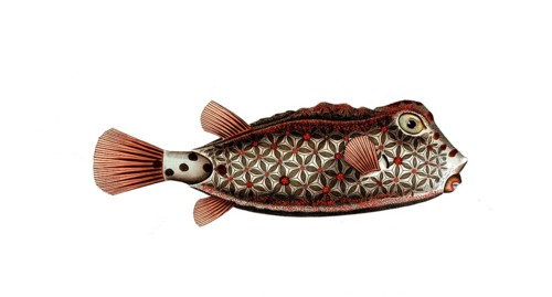 Fish, Fishes, Lactophrys, Genus marine ray-finned fish, Ostracion nasus, Nose-legged boxfish,