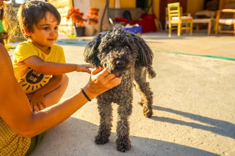Mother and son enjoying time with their adorable pet dog in the backyard, creating heartwarming
