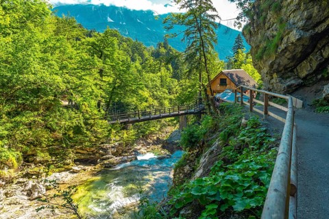 Breathtaking scenery of vintgar gorge with wooden bridge crossing the radovna river near bled,