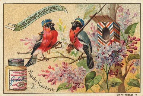 Picture series From the world of birds, as soldiers and guards, Liebig picture, digitally restored
