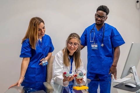Diverse medical students collaborating and discussing human eye anatomy using an anatomical model