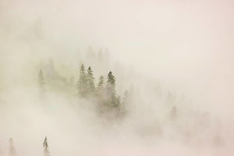 Wisps of mist cover the Karwendel mountains in the Großer Ahornboden nature reserve, Eng Valley,