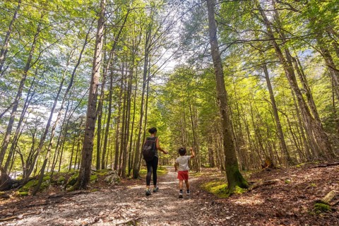 Mother and son enjoying a hike through the lush forest trails of logarska dolina valley in slovenia