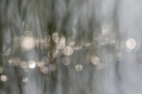 In the morning, lights are reflected on the water surface. The natural light creates blurry