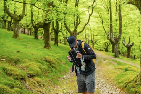 A young father with a yellow backpack walking with the newborn child in the backpack on a path in