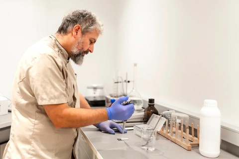 Mature male pharmacist doctor testing samples in the laboratory