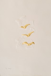 Braque, Parthénia