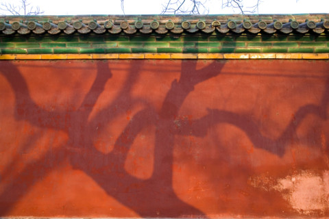 the Forbidden City,Forbidden City,Beijing