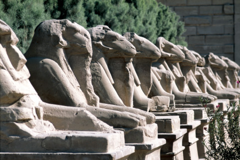 Egypt